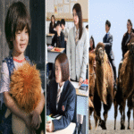 HBO Max presenta doce nuevos contenidos japoneses: romances, acción y narrativas impactantes.