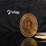 Beluga y Veera se alían para impulsar experiencias criptográficas de próxima generación Beluga y Veera se alían para impulsar experiencias criptográficas de próxima generación