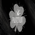 Día 2 de Pwn2Own: hackers explotan 56 vulnerabilidades zero-day para obtener 790.000 dólares.