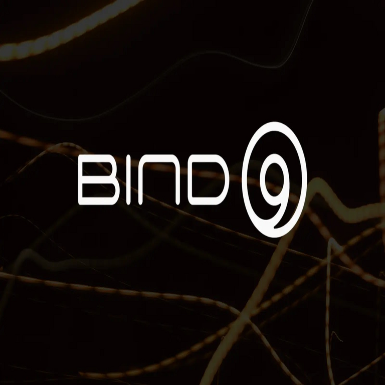 Múltiples vulnerabilidades en BIND 9 permiten el envenenamiento de caché y ataques de denegación de servicio.