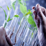 En Panamá, la UTP inaugura laboratorios innovadores que fortalecen disciplinas clave como las biociencias, la biotecnología, las ciencias aplicadas y la ciberseguridad.