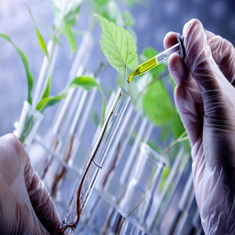 En Panamá, la UTP inaugura laboratorios innovadores que fortalecen disciplinas clave como las biociencias, la biotecnología, las ciencias aplicadas y la ciberseguridad.