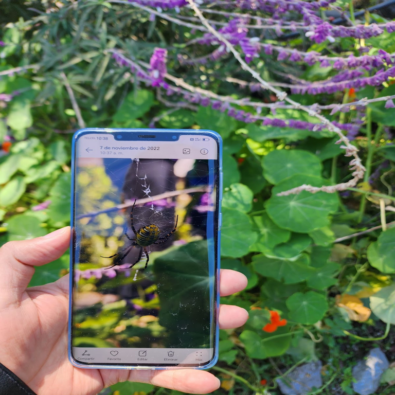 Brasil: Anatel introduce la tecnología 5G en la comunidad ribereña de Combu y conecta el corazón de la Amazonía