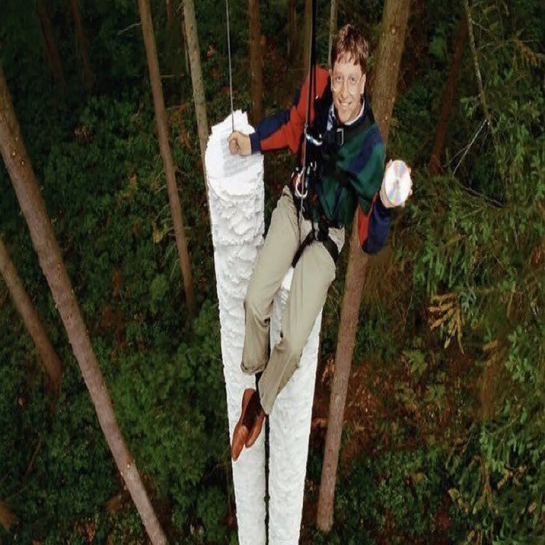 No se trata de inteligencia artificial, sino del auténtico Bill Gates ascendiendo una pila de documentos en papel mientras sostiene un disco compacto en la mano. No se trata de inteligencia artificial, sino del auténtico Bill Gates ascendiendo una pila de documentos en papel mientras sostiene un disco compacto en la mano.