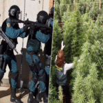 Una grave escalada compromete la estabilidad interna de España mediante la transformación de diversos municipios en centros operativos del crimen organizado.