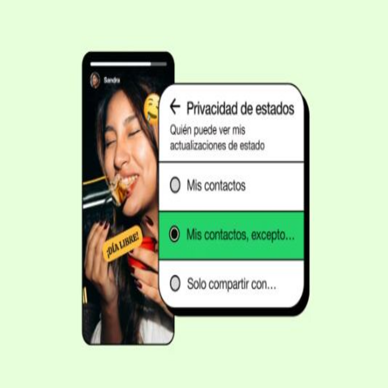 Configuración detallada de WhatsApp para definir de forma precisa quién puede visualizar tus estados, guía paso a paso