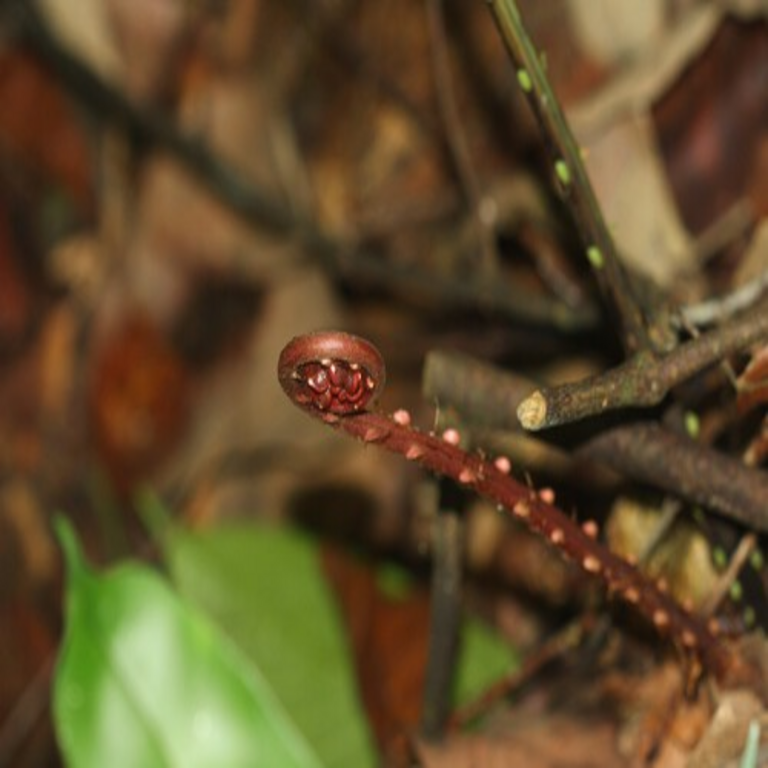 China ha descubierto un recurso estratégico de tierras raras en el interior de un organismo vivo, considerado un avance equiparable a un hito fundamental en este campo