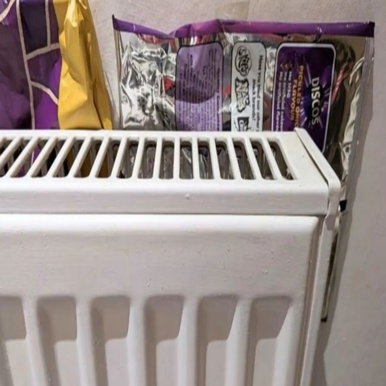 Existen personas que colocan bolsas de snacks detrás de los radiadores con el propósito de reducir el consumo de calefacción, aunque esta práctica resulta contraproducente. Existen personas que colocan bolsas de snacks detrás de los radiadores con el propósito de reducir el consumo de calefacción, aunque esta práctica resulta contraproducente.