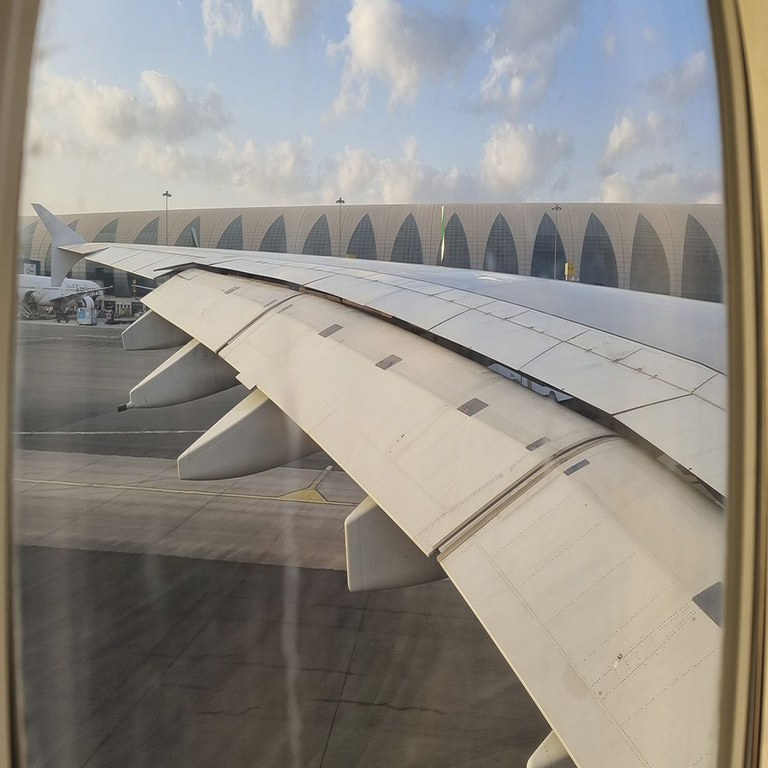 ¿Se aproxima la disponibilidad de Wi-Fi gratuito en todos los vuelos? Una aerolínea adicional avanza de manera significativa con el soporte de Starlink.