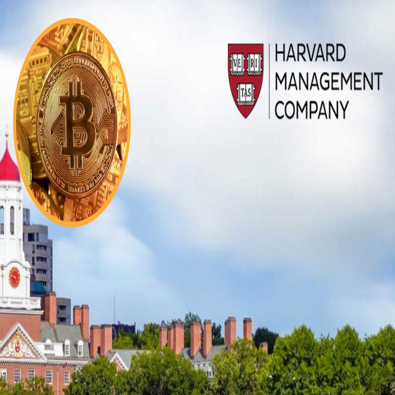 La Harvard Management Company, administradora del fondo patrimonial universitario, ha triplicado su posición de inversión en Bitcoin. La Harvard Management Company, administradora del fondo patrimonial universitario, ha triplicado su posición de inversión en Bitcoin.