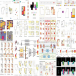 Redes neuronales en la generación de soluciones de diseño planimétrico. Parte 1