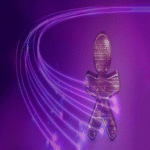 Brasil | Vivo implementa gemelos digitales en su red de Internet fija.