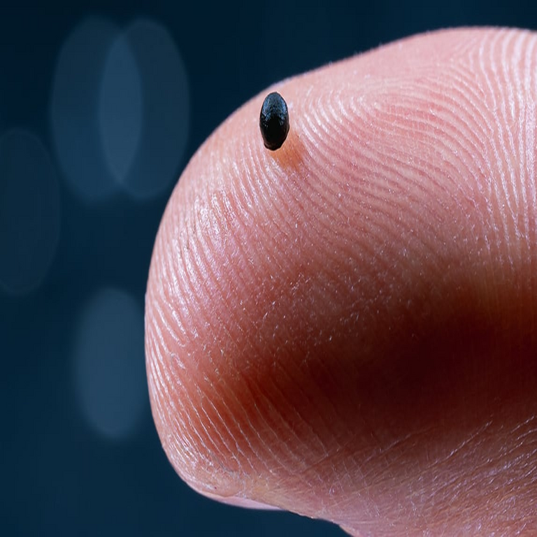 Desarrollan microrobots que navegan por el torrente sanguíneo para administrar fármacos y tratar patologías.