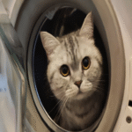 Experiencia de usuario doméstica: el propósito de la ventana de observación en las lavadoras