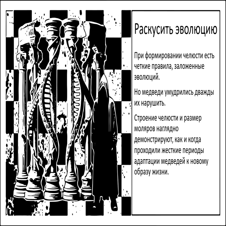 Biohackers naturales: cómo los osos violaron dos veces el principio fundamental de la evolución