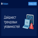En el foco de RVD: vulnerabilidades de tendencia de noviembre