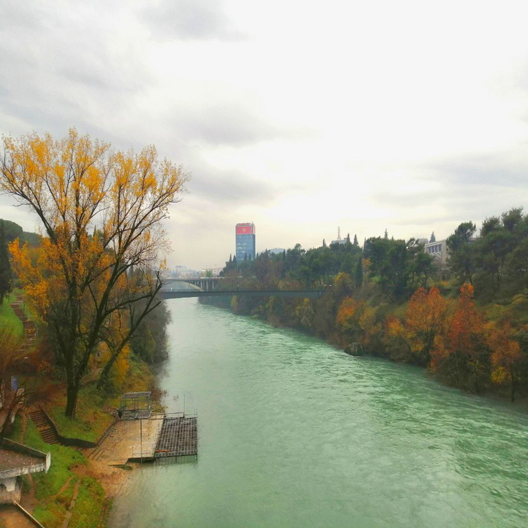 Mlevena Kiša y la nueva legislación de Montenegro sobre los extranjeros