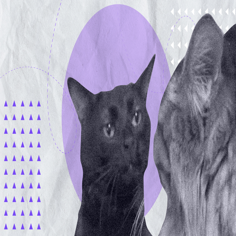 Cómo rescatar un proyecto cuando el cliente no está satisfecho con los resultados preliminares.