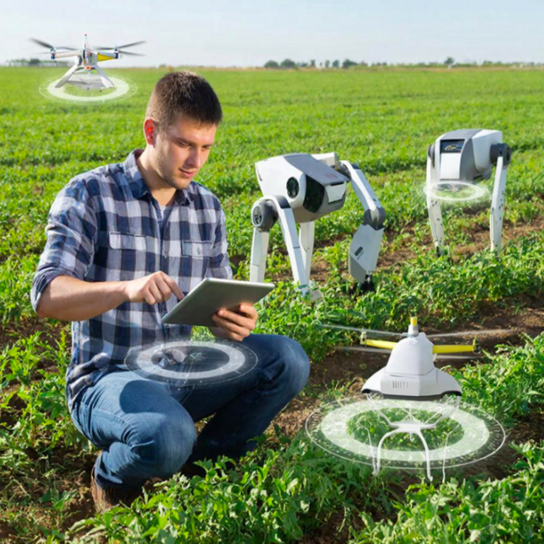 Cultivadores digitales, invernaderos y motobloques: la transformación multiagente del complejo agroindustrial