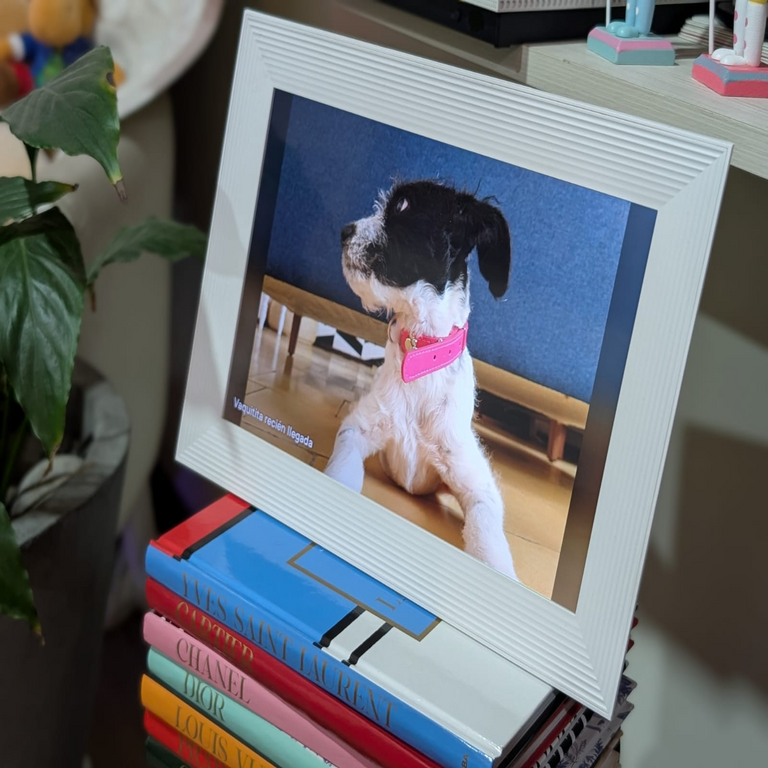 Reseña técnica DPL | Aura Carver: más allá de un marco digital, una red social privada para el hogar