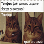 Transformamos un sitio web en una aplicación móvil en solo unos pasos. Parte 2