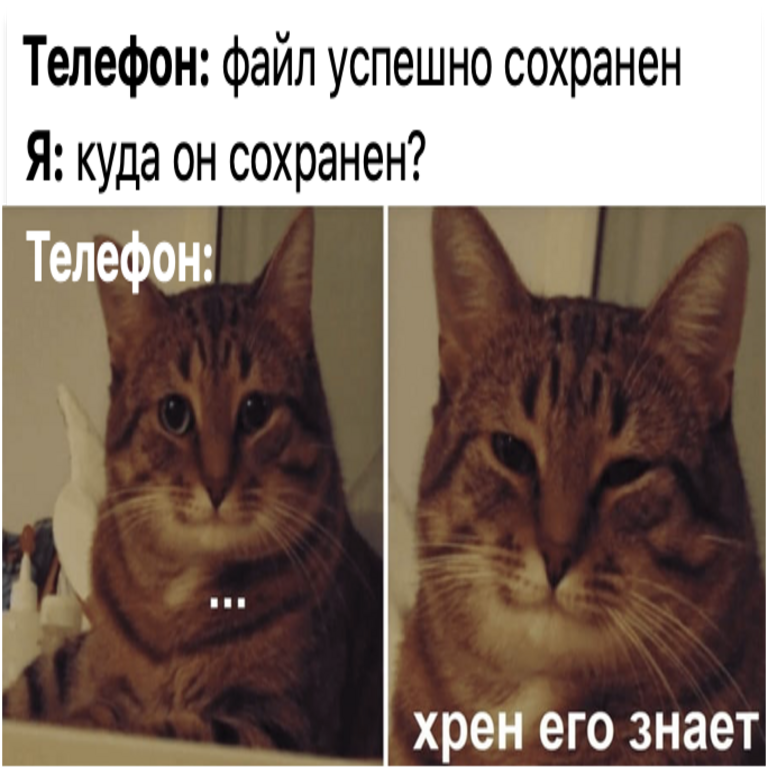 Transformamos un sitio web en una aplicación móvil en solo unos pasos. Parte 2 Transformamos un sitio web en una aplicación móvil en solo unos pasos. Parte 2