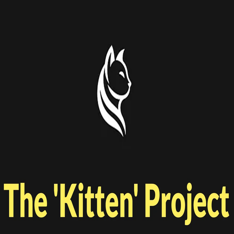 El Proyecto «Kitten» – Grupos de Hacktivistas Ejecutando Ataques Dirigidos contra Israel