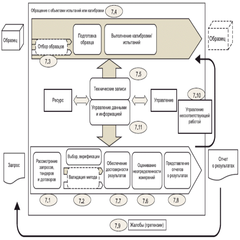 Automatización de procesos laboratorales: razones por las que la implementación de un LIMS se convierte en un desafío desde las etapas iniciales
