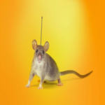 Syncro + Lovable: propagación de RAT mediante sitios web creados con inteligencia artificial