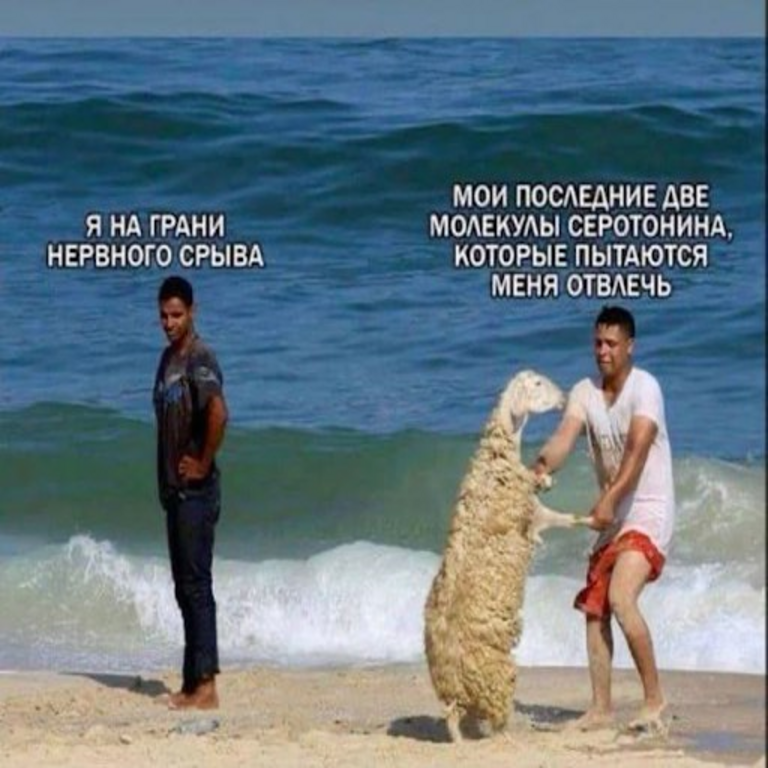 Deporte, cerebro y depresión: guía práctica para quienes carecen de energía Deporte, cerebro y depresión: guía práctica para quienes carecen de energía