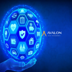 Avalon Risk Management lanza un seguro contra huracanes para salvaguardar a propietarios de bienes de alto riesgo.