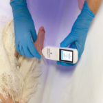 Funcionamiento del dispositivo brasileño impulsado por IA que determina la edad gestacional de bebés prematuros y cuenta con el respaldo de Bill Gates. Funcionamiento del dispositivo brasileño impulsado por IA que determina la edad gestacional de bebés prematuros y cuenta con el respaldo de Bill Gates.