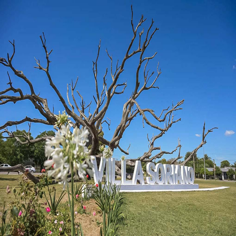 En 2026, todas las localidades con más de 500 habitantes dispondrán de fibra óptica: Antel Uruguay.