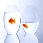 El gran éxito de Sber: titulares impactantes basados en código ajeno