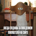 Monitoree el comportamiento de los compradores y entrene Yandex Direct para dirigir tráfico objetivo al sitio web. 8 casos de incremento en ventas.