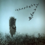 ¿Nos quedaremos sin la red global, o cuándo se producirá el Splinternet?