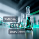 Termidesk Connect frente a BIG-IP F5 y Citrix NetScaler: el emergente innovador y los referentes consolidados en pruebas de carga.