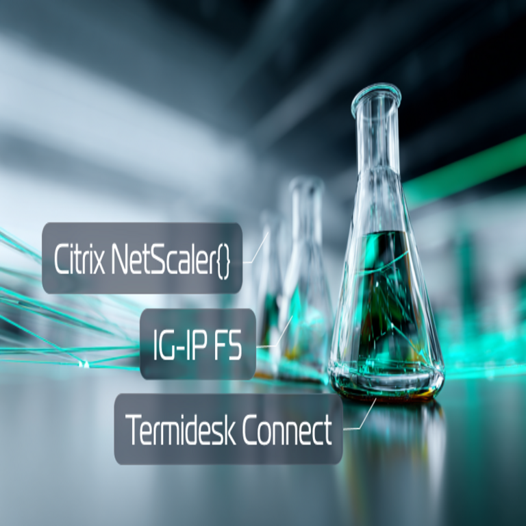 Termidesk Connect frente a BIG-IP F5 y Citrix NetScaler: el emergente innovador y los referentes consolidados en pruebas de carga.