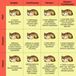 Comprendamos todos los tiempos verbales en el inglés Comprendamos todos los tiempos verbales en el inglés