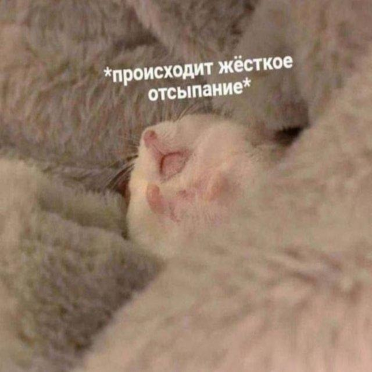 De “Mr. Robot” a “Severance”: selección de series para las vacaciones de Año Nuevo y distraerse del backlog pendiente.