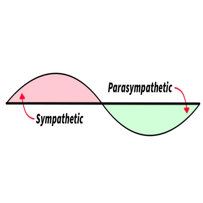 ATMO Shield: herramienta de código abierto para el monitoreo privado del sistema nervioso basada en HRV e inteligencia artificial local.