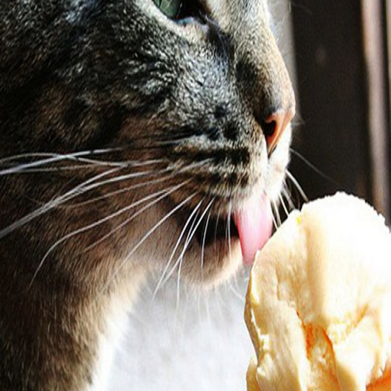 La huella del aceite de palma: ¿Es cierto que la industria láctea está sustituyendo progresivamente la grasa butírica por grasas vegetales?