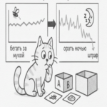 Programación no monótona: restricciones técnicas.