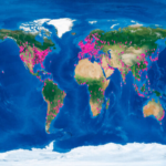 El mito de la descentralización de internet, representado en un mapa: un tercio de los centros de datos mundiales se concentran en un solo país.