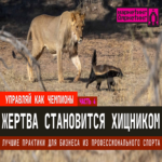 Prácticas óptimas para el ámbito empresarial derivadas del deporte profesional. Parte 4: La víctima se transforma en depredador.