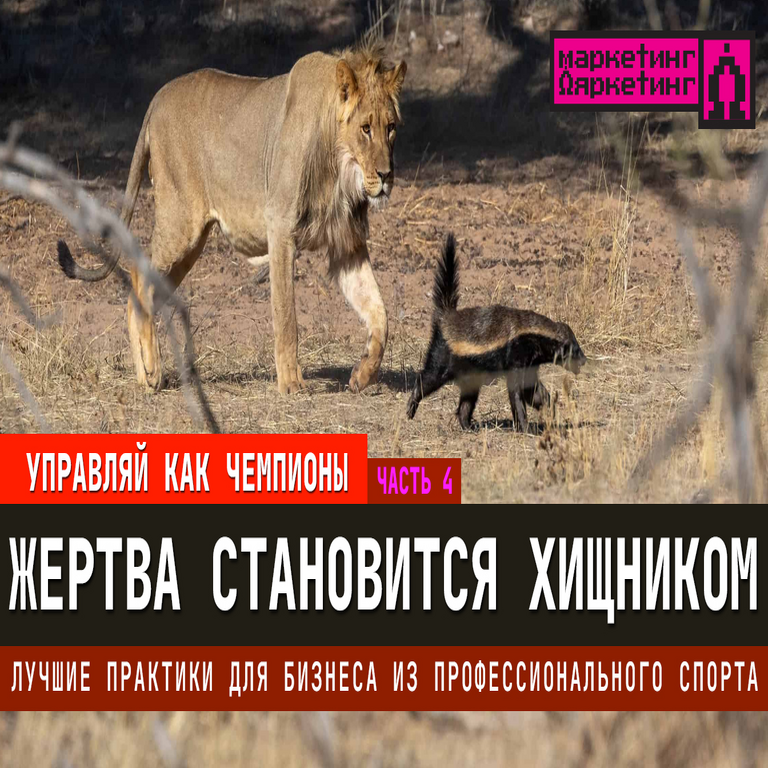 Prácticas óptimas para el ámbito empresarial derivadas del deporte profesional. Parte 4: La víctima se transforma en depredador.