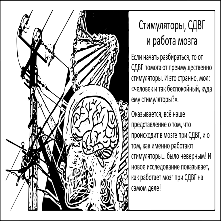 Cerebro. Concentración de la atención. Los fármacos para el TDAH actúan de forma distinta a lo presupuestado.