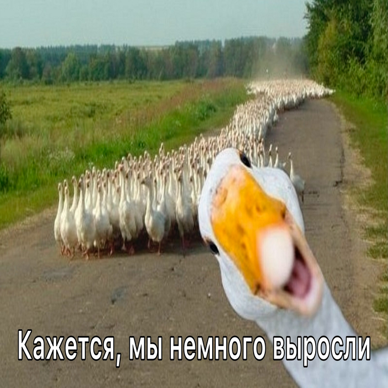 De la ingeniería manual a la sistémica: cómo gestionar un equipo cuando ya no cabe en una sola conferencia virtual