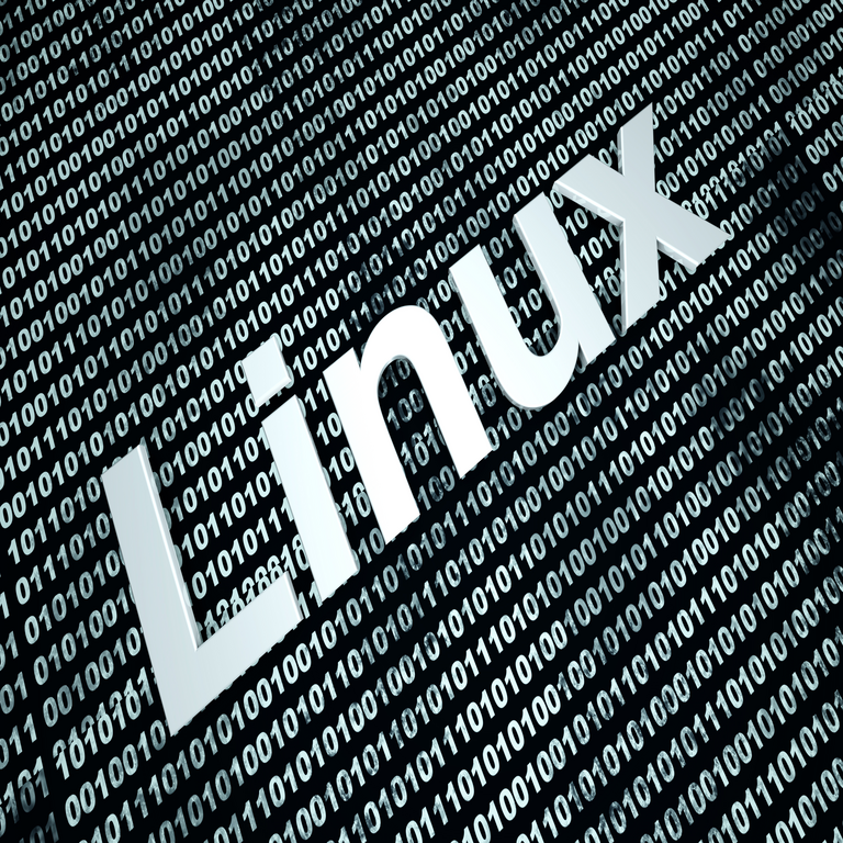 El estado actual de Linux Empresarial en el ámbito de las redes. El estado actual de Linux Empresarial en el ámbito de las redes.