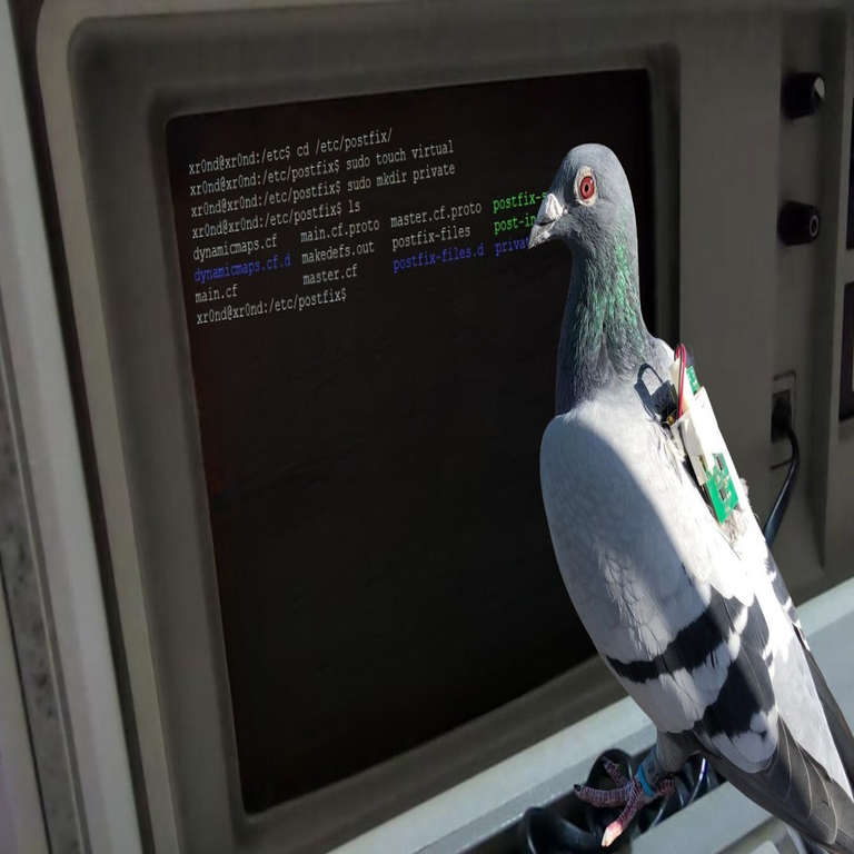 Cómo se configura el correo electrónico en un VPS: fundamentos de SMTP, IMAP y POP3